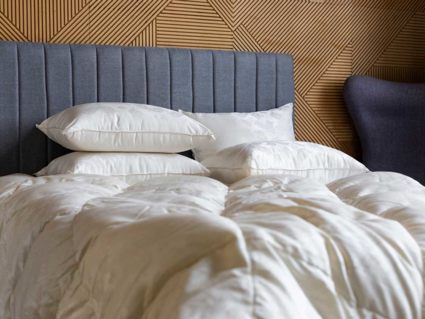 Одеяло German Grass Silk Down Grass всесезонное 220х240