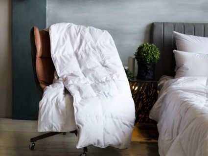 Одеяло German Grass Gray Familie Down всесезонное 240х260