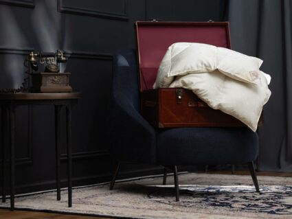 Одеяло German Grass EXCLUSIVE SILK EIDER DOWN всесезонное 220х240