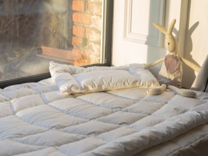 Одеяло German Grass Baby Silk Cocoon (одеяло и подушка) 100х135