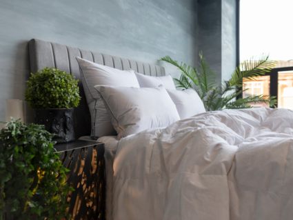 Подушка German Grass Gray Familie Down мягкая