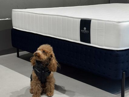 Матрас Materlux Livingston Multi 70х180