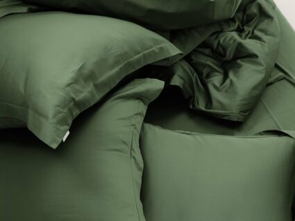 Комплект постельного белья Софи де Марко Моно (малахит) Евро